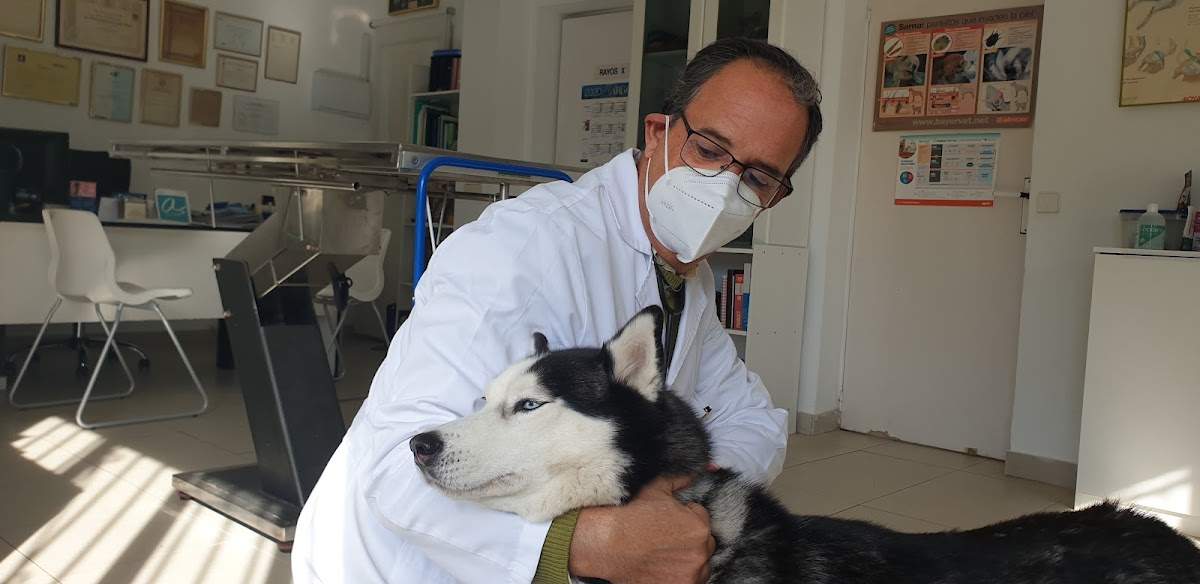 Clinica veterinaria Animal Club