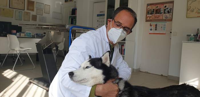 Clinica veterinaria Animal Club