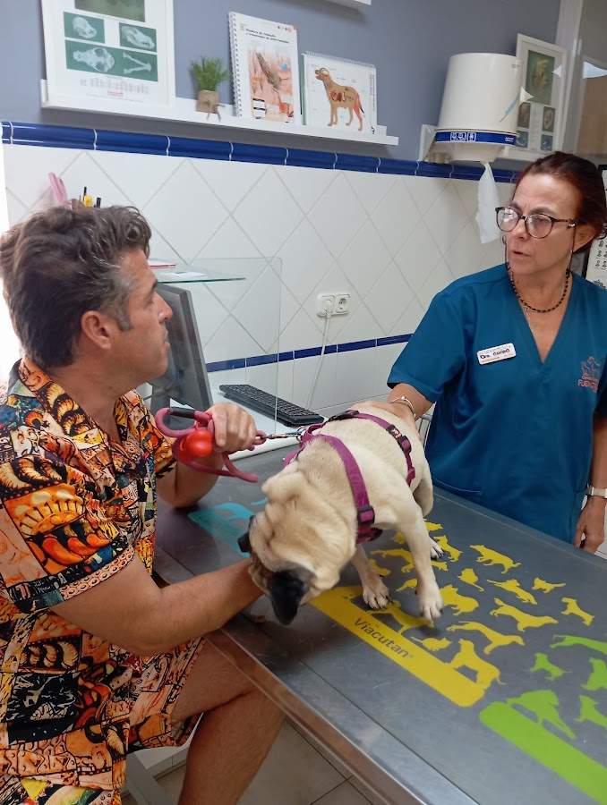Centro Veterinario Fuengirola Pueblo López