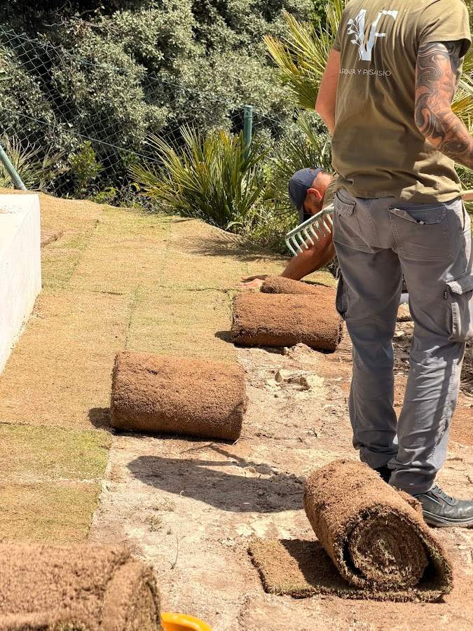 VF JARDINERÍA Y PAISAJISMO