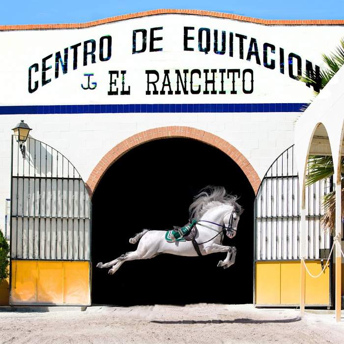 Ritmo A Caballo & Andalusian Night