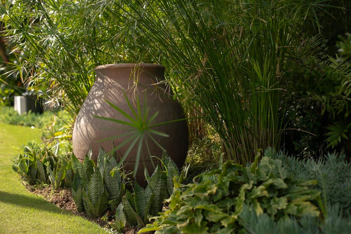 Adarve gardens, design - construction- maintenance