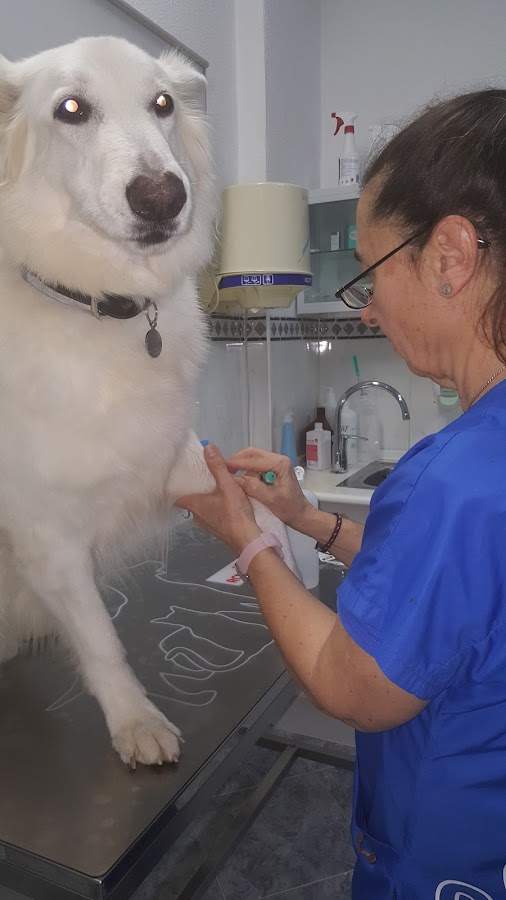 Clínica Veterinaria Pet's