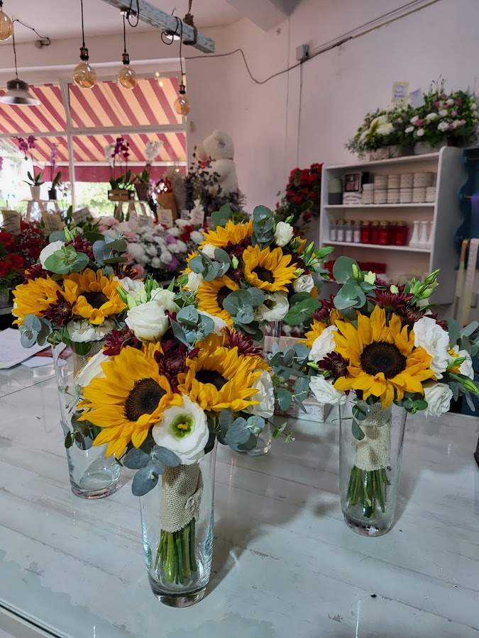Hormigo Floristas