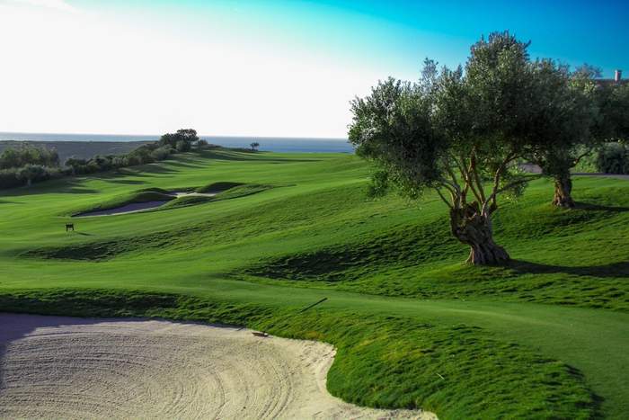 CLUB DE GOLF FINCA CORTESIN