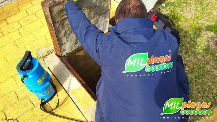 Milplagas Control