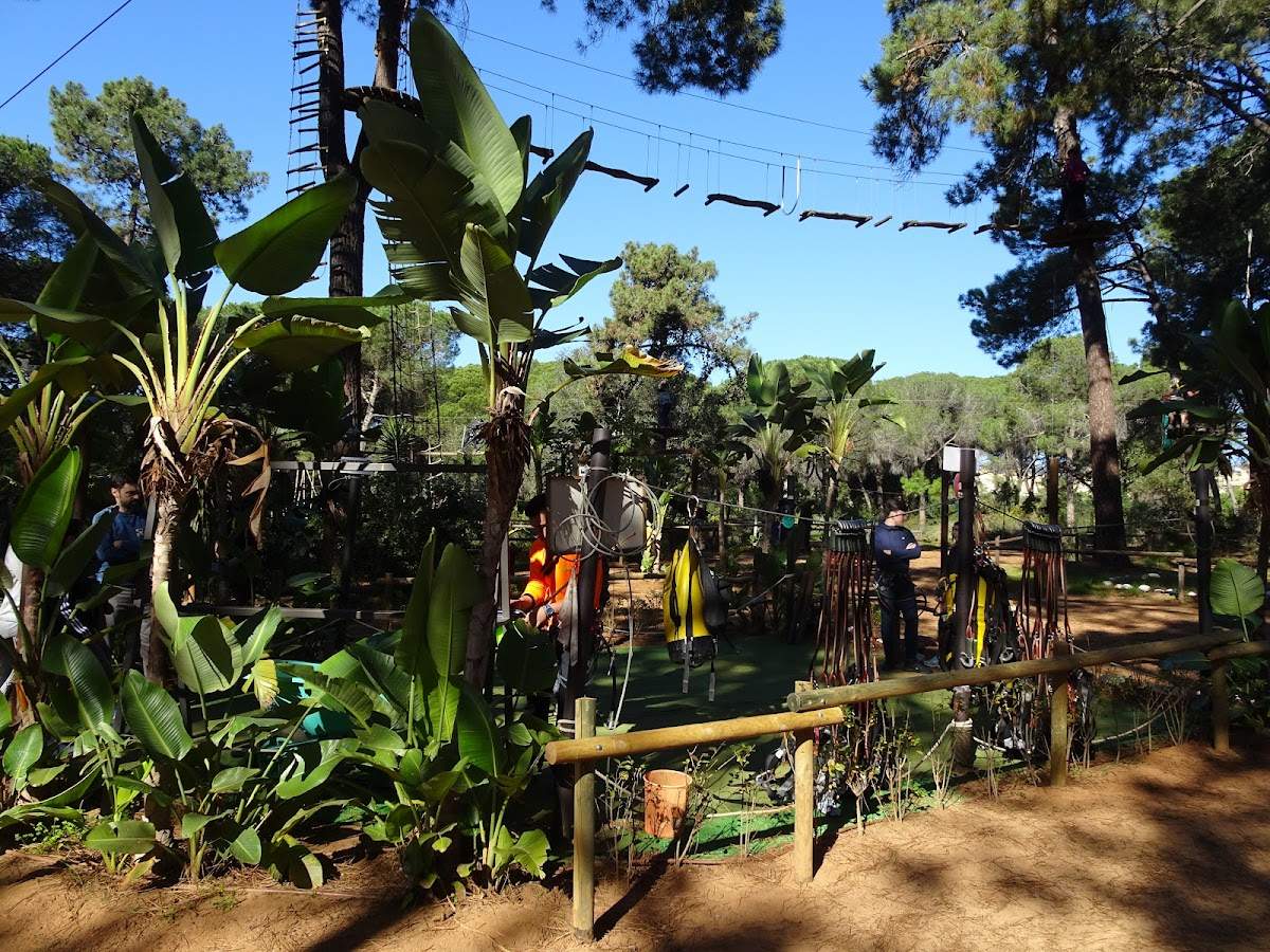 AVENTURA AMAZONIA MARBELLA. Parque de multiaventura y tirolinas para adultos y niños. Despedidas, Cumples y Teambuilding