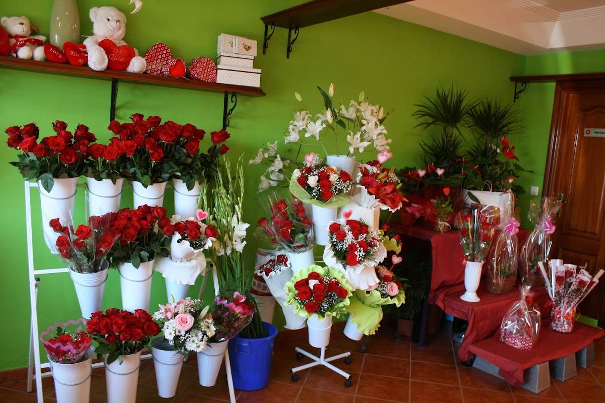 FLORES TORREMOLINOS-CUSTODIA MILLA