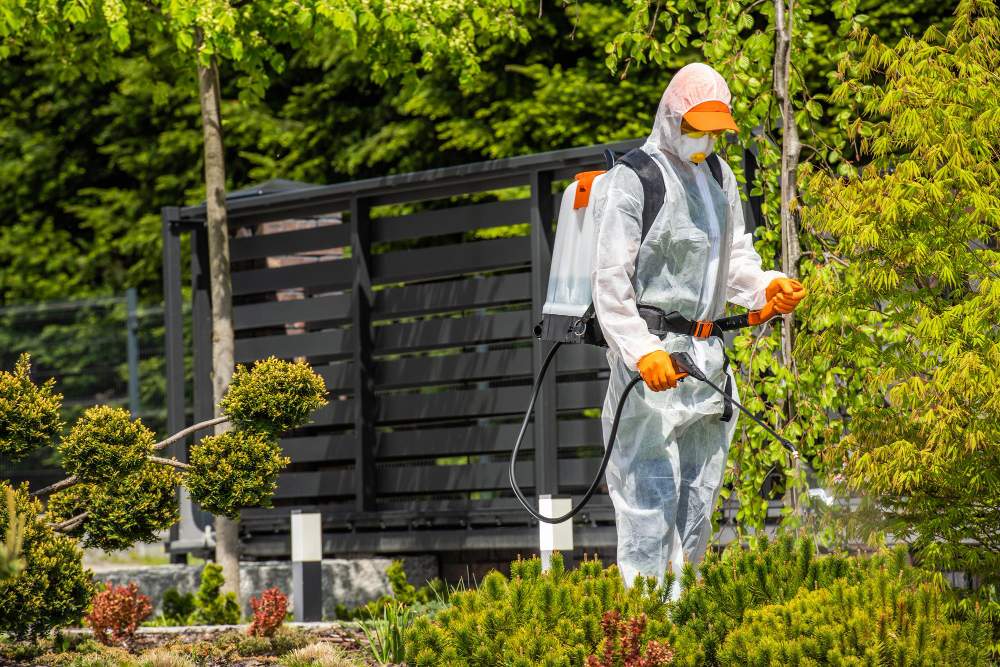 BiteFree Mosquito & Pest Control Málaga