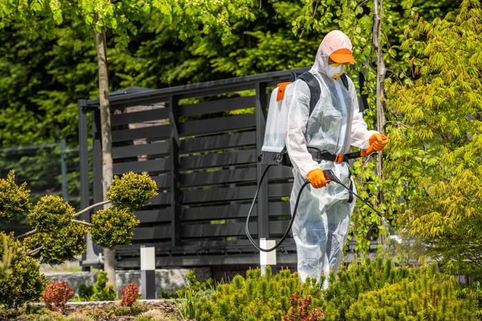 BiteFree Mosquito & Pest Control Málaga