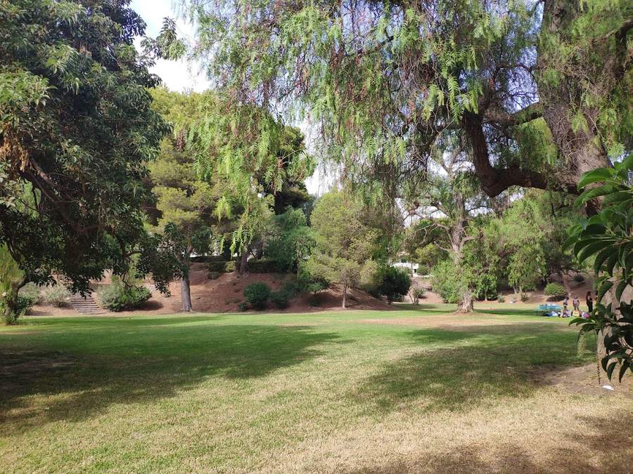 Parque Misterioso