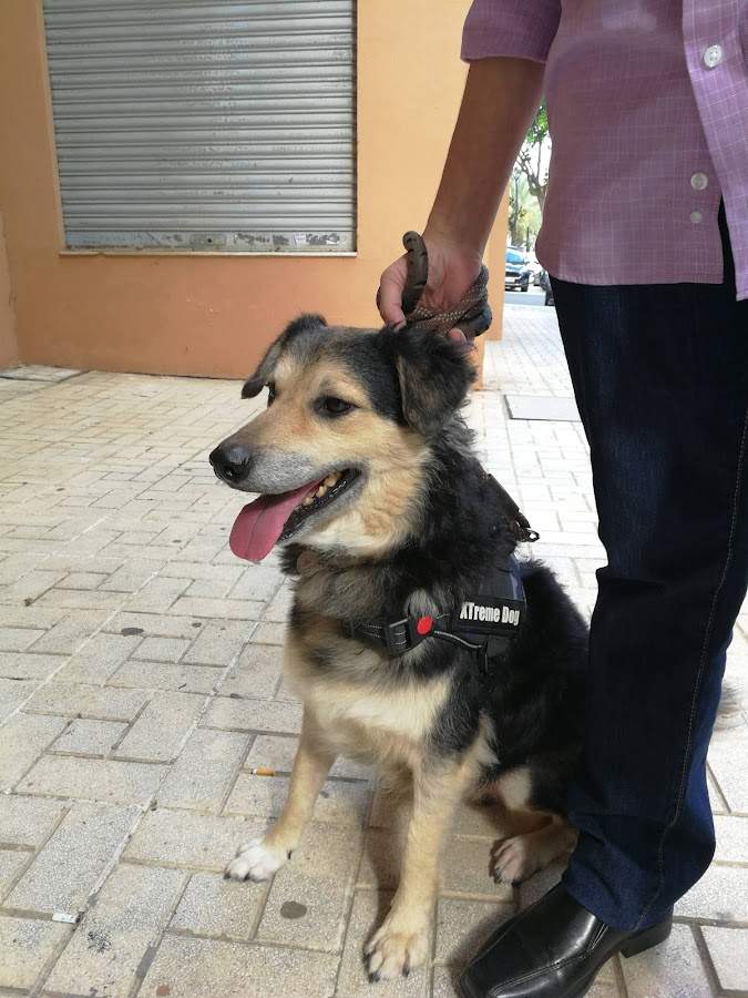 Clínica veterinaria La Roca