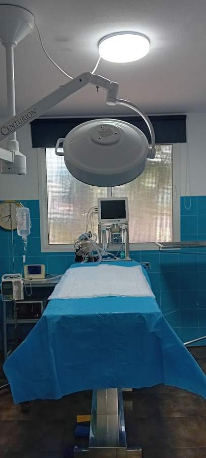 Centro Veterinario VicuVET