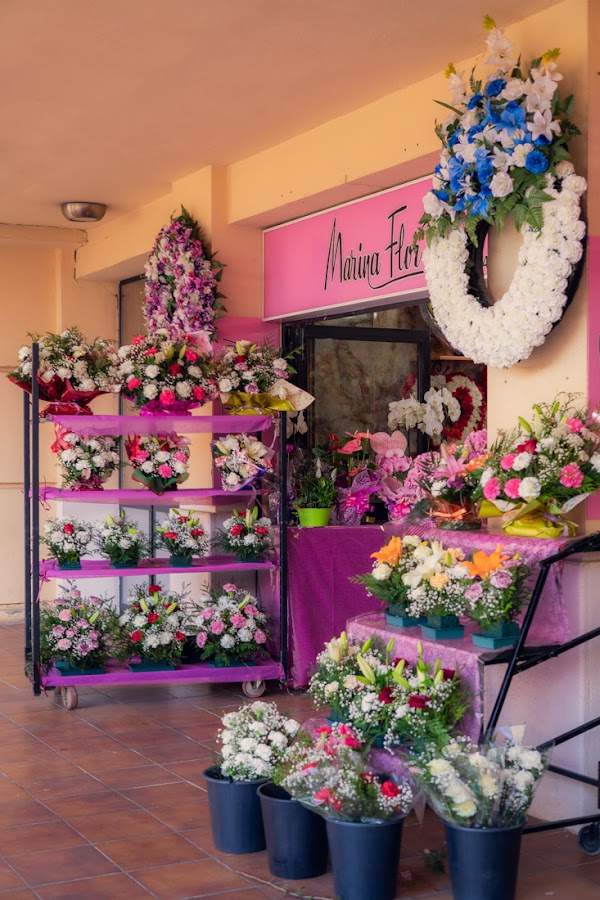 Floristería MarinaFlor