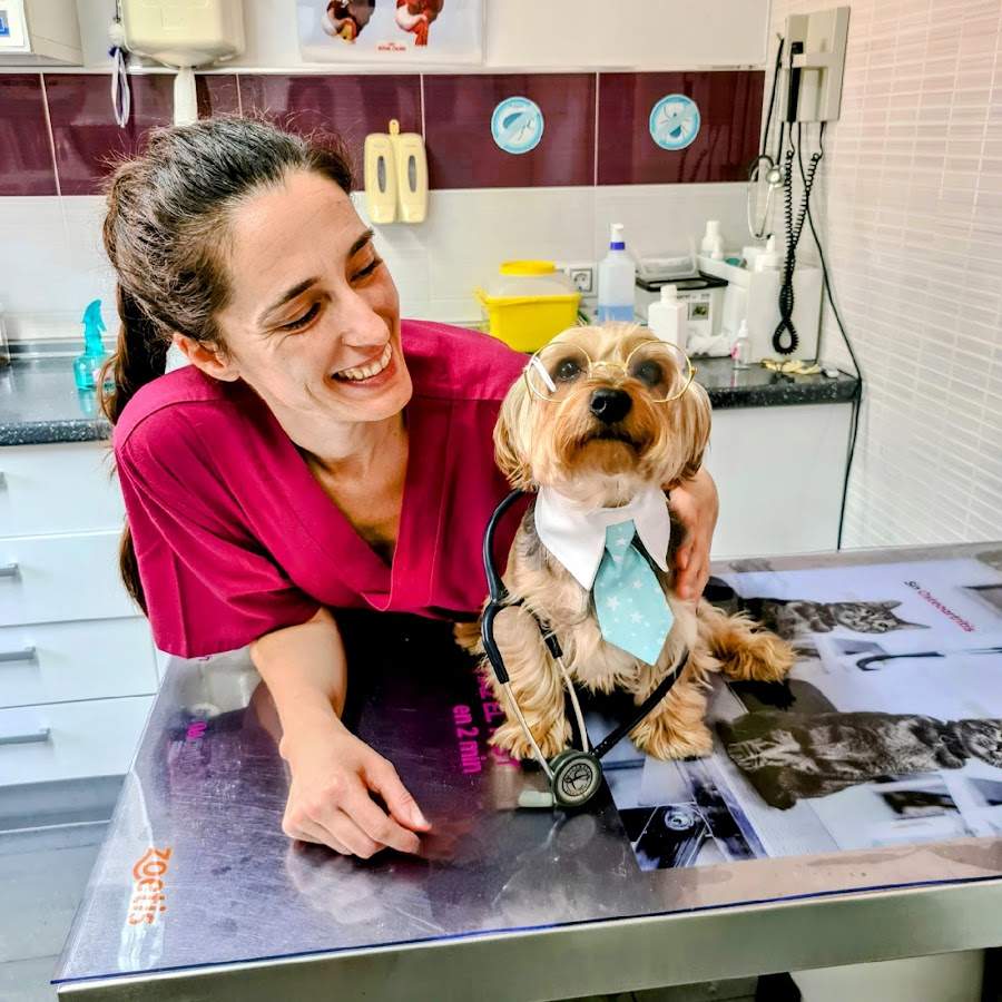 Centro Veterinario El Pinillo