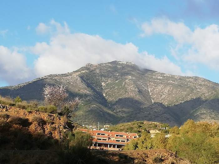 Mirador de La Cantera Alto