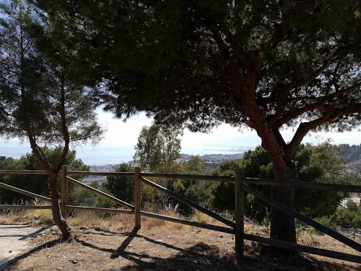 Parque Forestal Lagarillo Blanco (Pinares Antiguo)