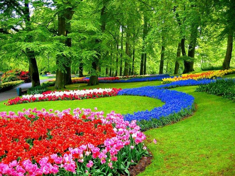 Servicios de Jardinería en Estepona-Jiménez Gardens
