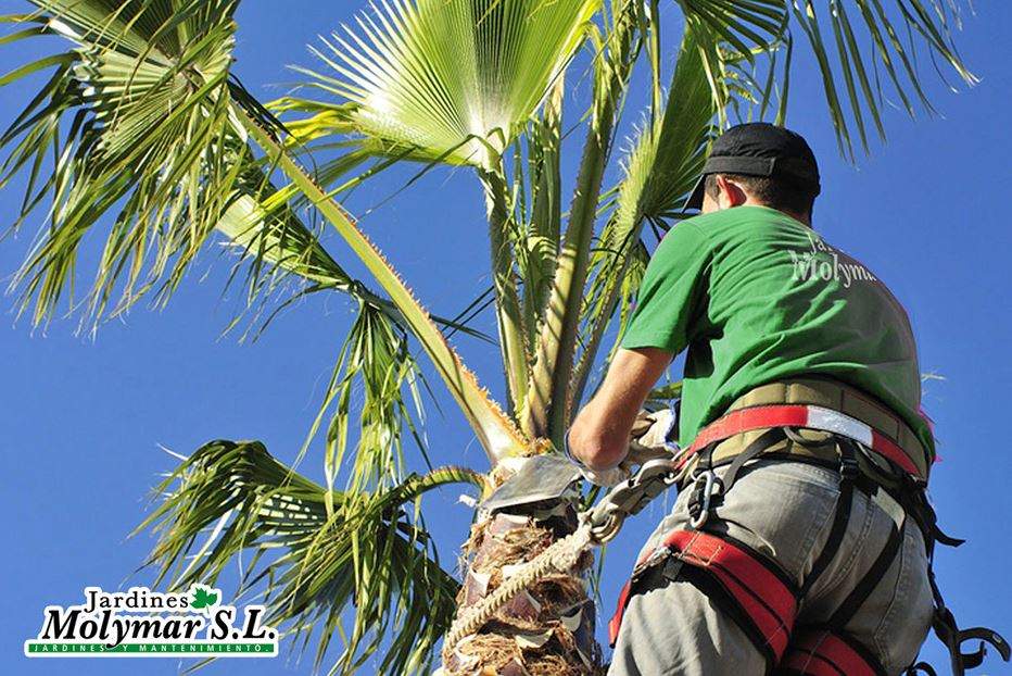 Jardines Molimar