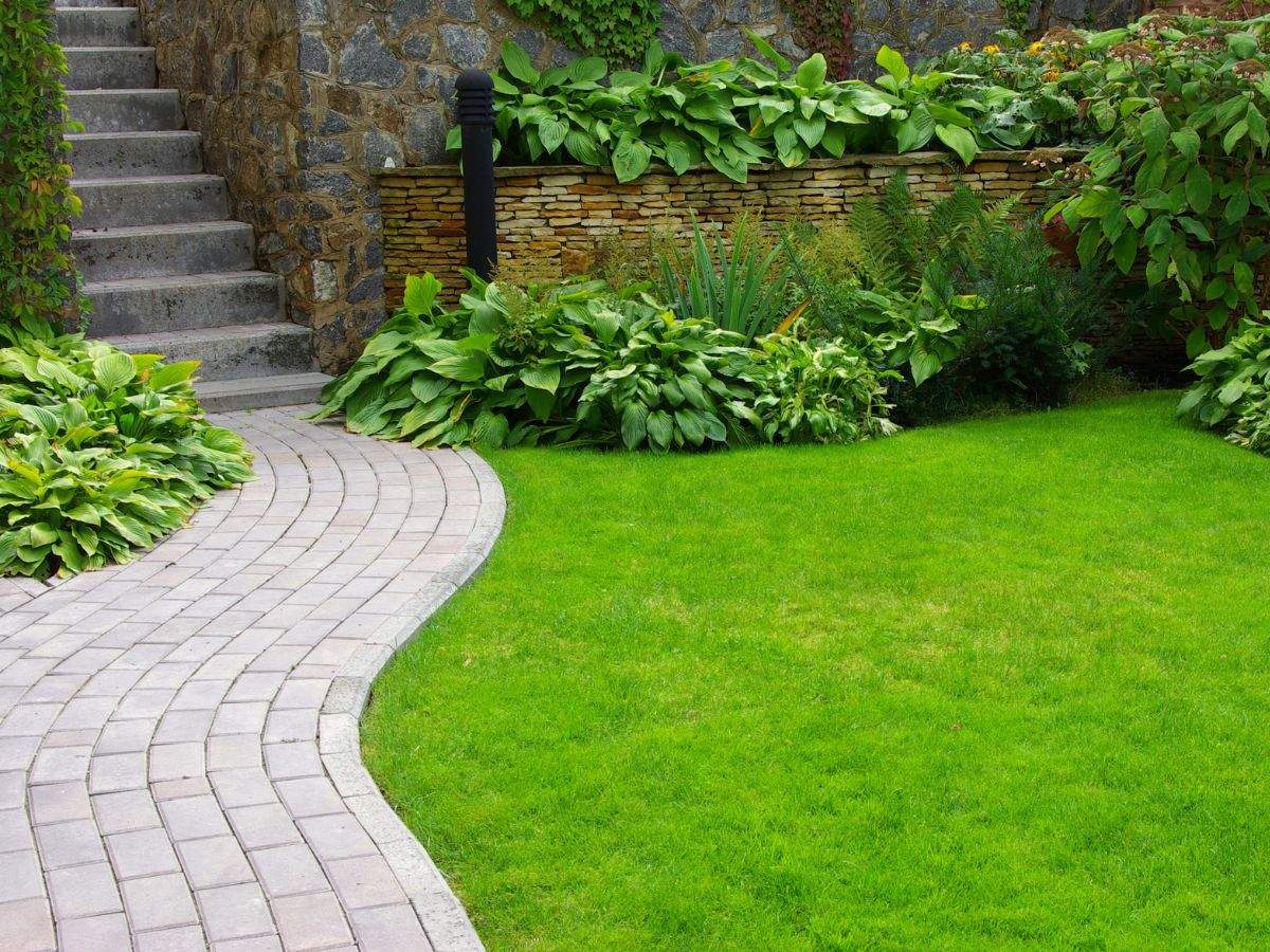 The Amazing Gardens