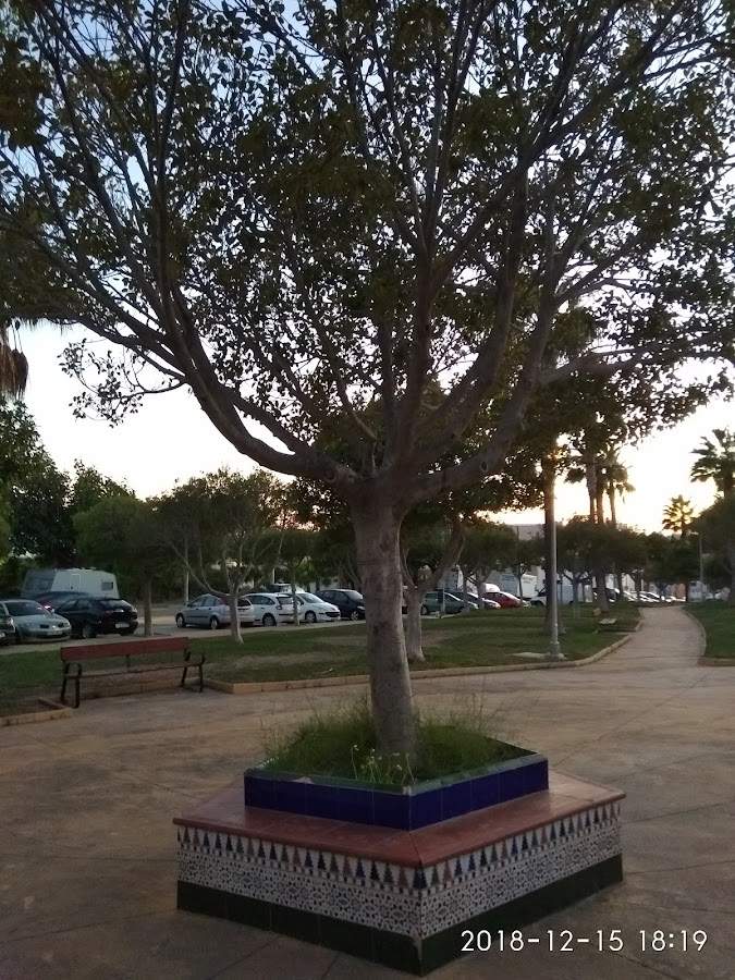 Parque canino El Pinillo