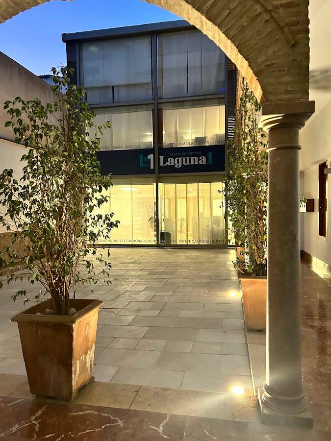 Bufete Carmona - Abogados