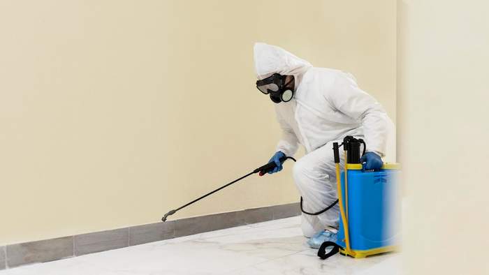 Desinsectaciones Costamalaga - Fumigacion de plagas en malaga