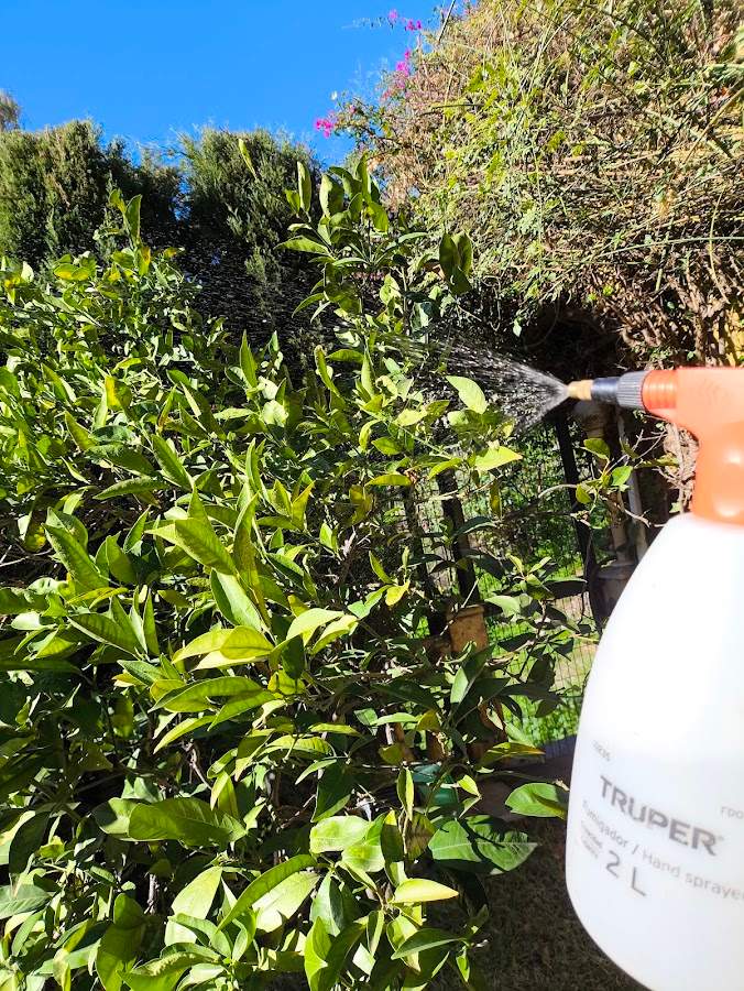 La Ninfa Jardines Vivos