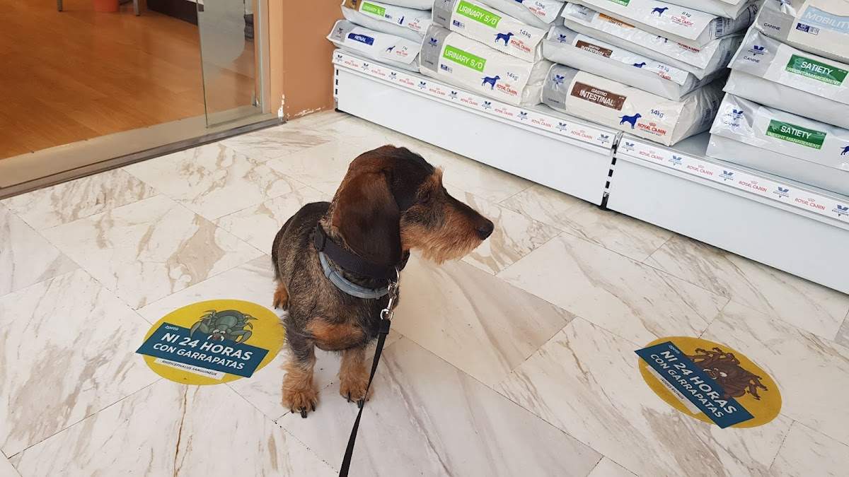 Clínica Veterinaria Zarpas y Bigotes