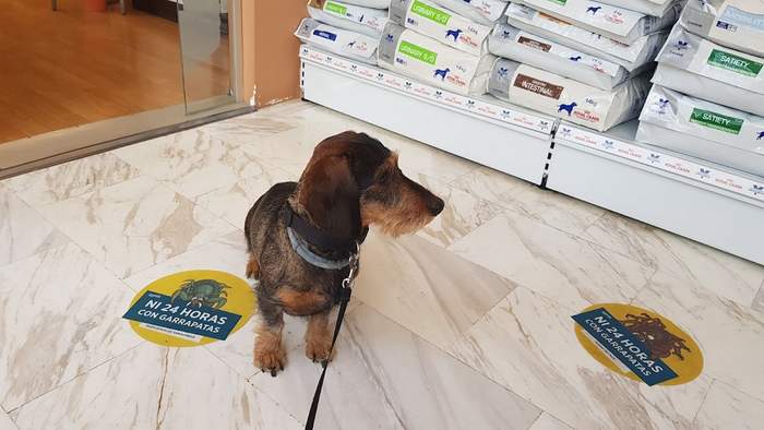 Clínica Veterinaria Zarpas y Bigotes