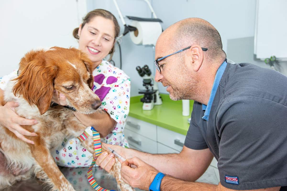 Centro Veterinario Tu Can