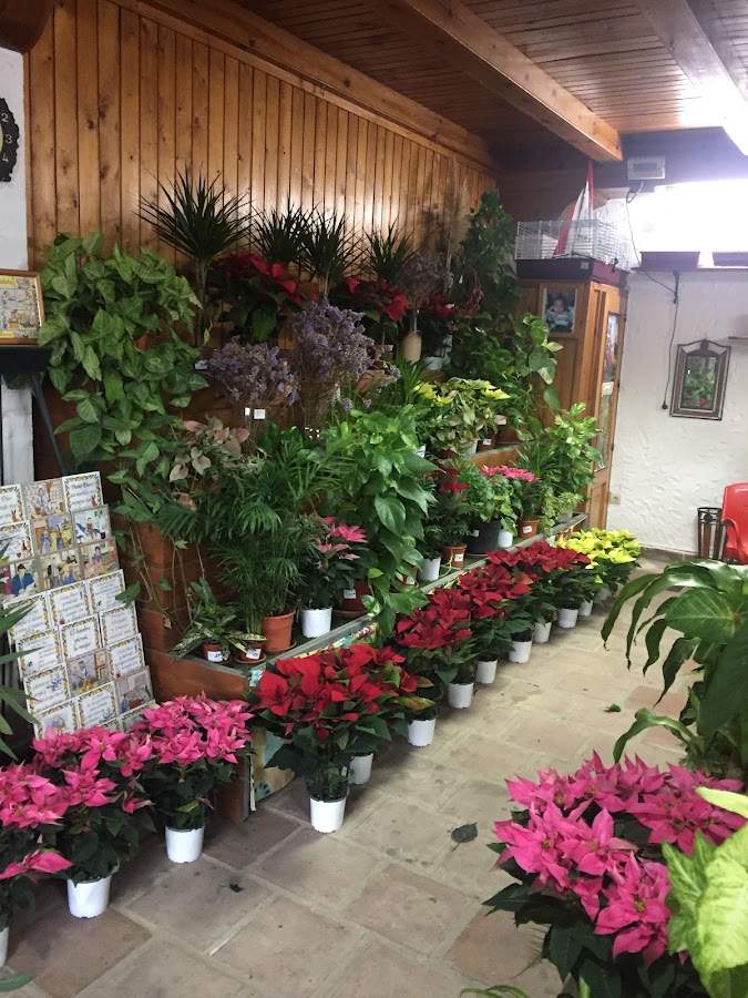 Vivero Mini Garden El Puerto