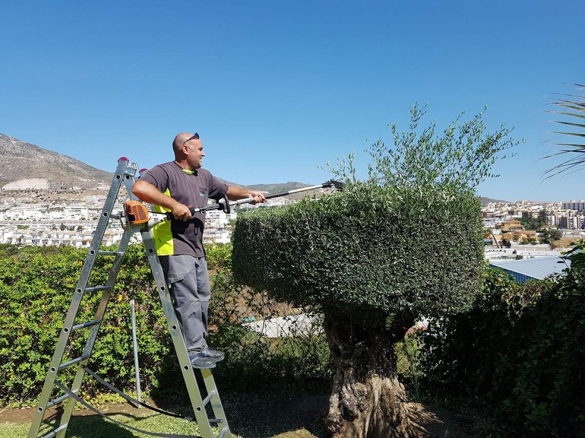 Arroyojardin