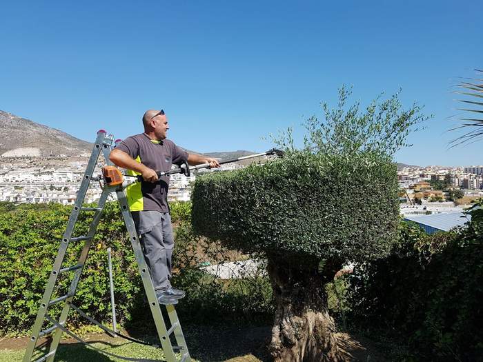 Arroyojardin