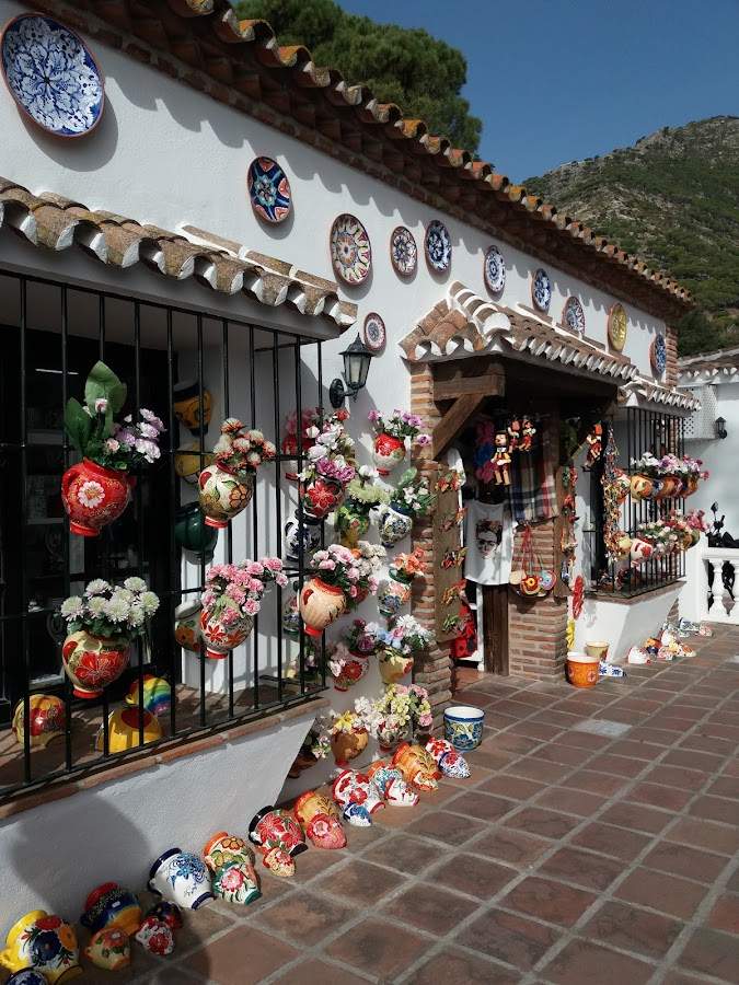 Servicio Andaluz de Salud