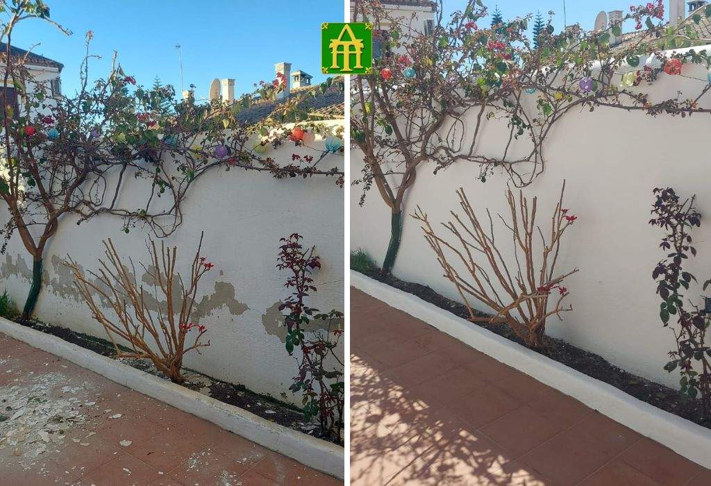 Pinturas Terraza