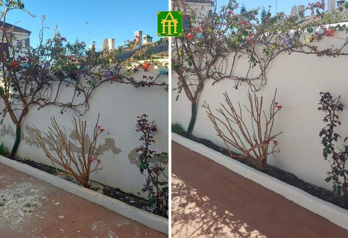Pinturas Terraza
