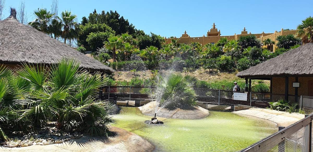 Crocodile Park