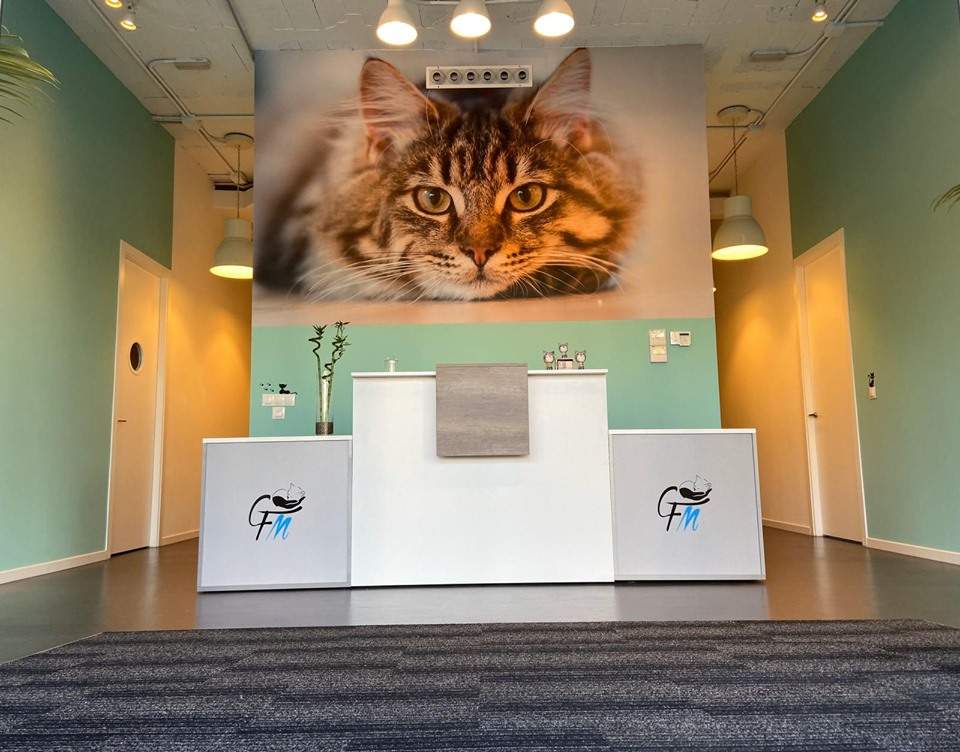 Clínica Veterinaria Felina Malagat