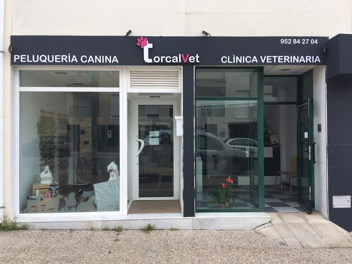 Torcalvet clínica veterinaria