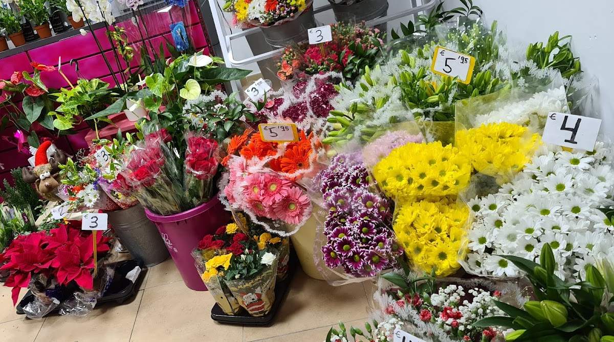 Alicia floristeria fuengirola
