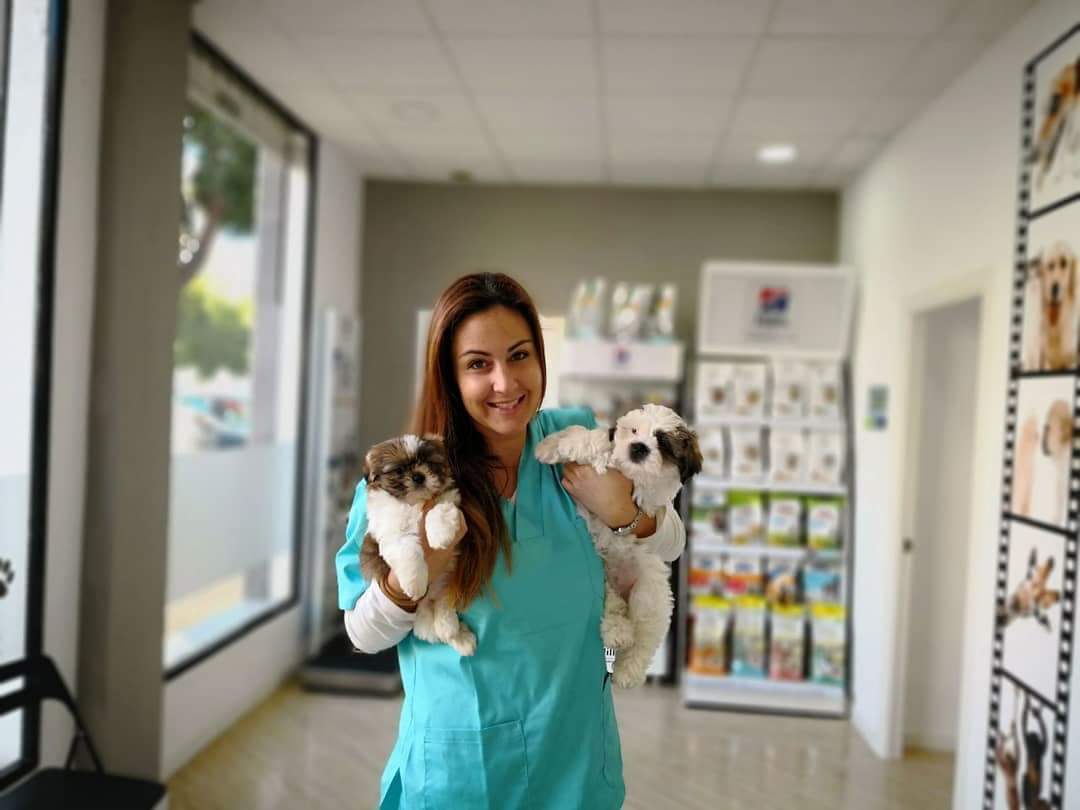 Clínica Veterinaria PinoVet