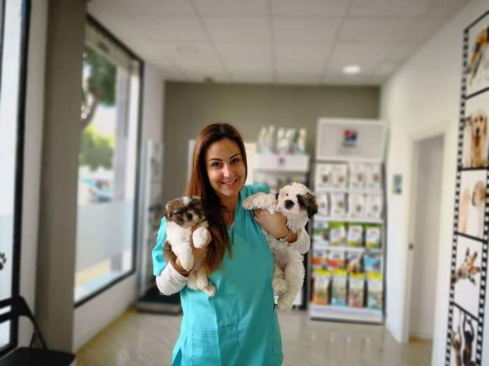 Clínica Veterinaria PinoVet