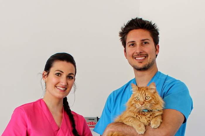 Estenova Clínica veterinaria