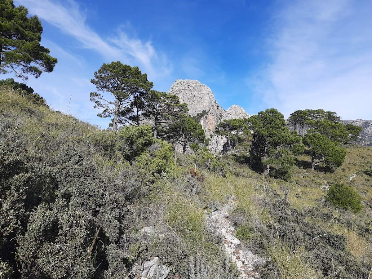 El Almendrón