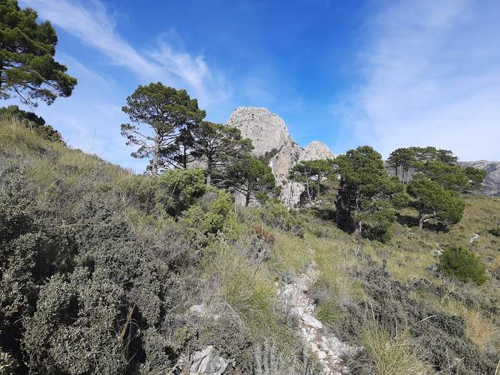 El Almendrón