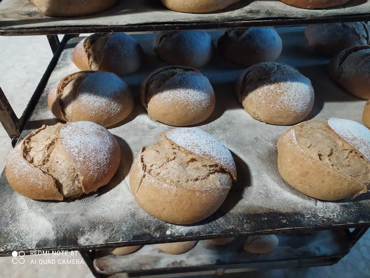 Lochi Málaga