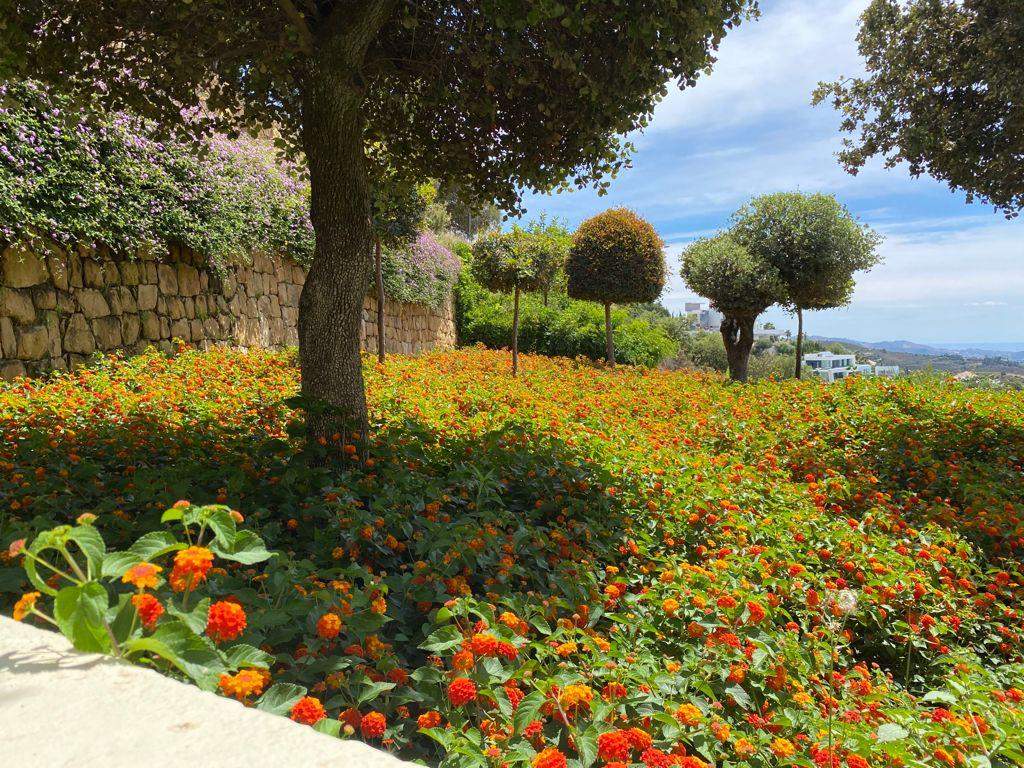 Kentish Gardens