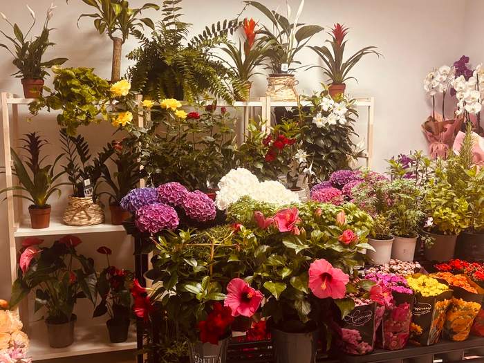 Florecer Floristería