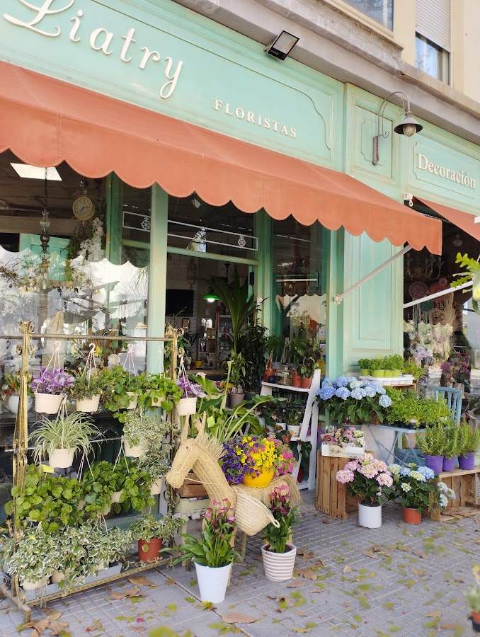Liatry Floristas